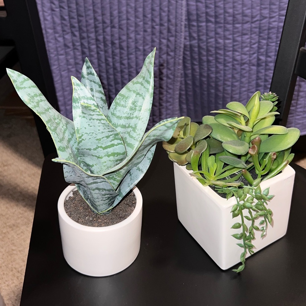 2 Decorative Artificial Plants